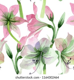 Watercolor Set White Lilies Hand Drawn Stock Illustration 666763117