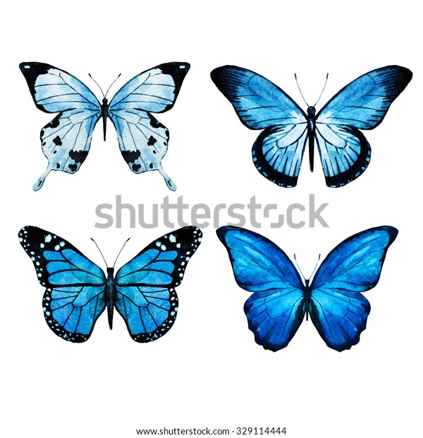 Watercolor Pink Butterflies Isolated Objects Tropical Stock ...