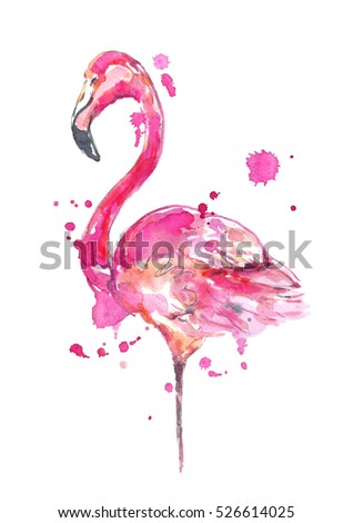 Watercolor pink flamingo.