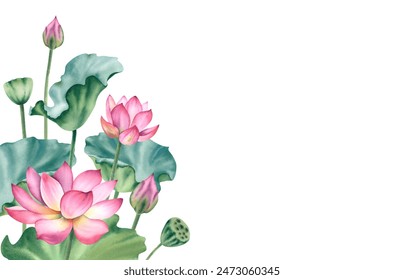 Watercolor pink lotuses on a white background. Water lilies are hand painted. A composition with a lotus. A template for the design of postcards, invitations, and fabrics - Powered by Shutterstock