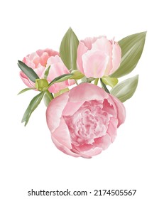 2,710 Peonies corner border Images, Stock Photos & Vectors | Shutterstock