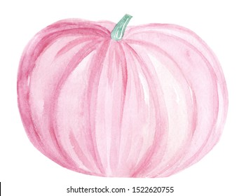 Watercolor Pink Pumpkin On White Background