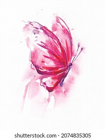 Watercolor Pink Red Butterfly On Textured Paper. Hand Drawn Illustration. Fashion Poster, Romantic Card, Wedding Background.Beautiful Wings.