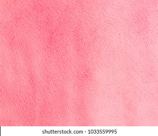 watercolor  pink rose