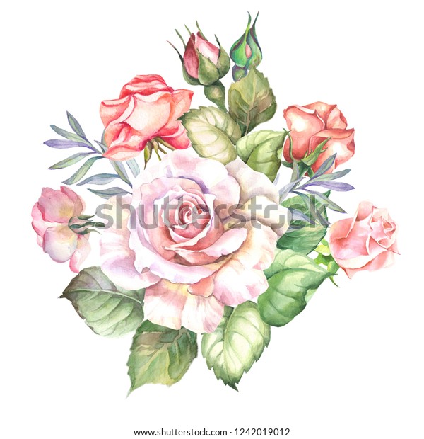 Watercolor Pink Rose Leaves Stock Illustration 1242019012 | Shutterstock
