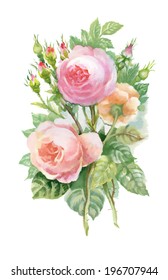 Watercolor Pink Roses Bouquet Stock Illustration 196707944