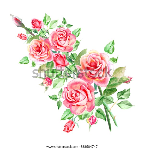 Watercolor Pink Roses Bouquet Roses Rose Stock Illustration 688504747 ...
