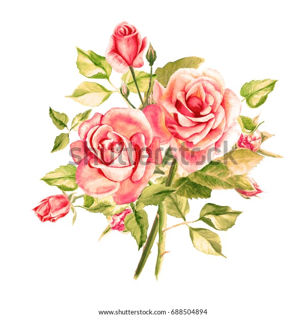 水彩ピンクのバラ バラの花束 バラの茂み 美しい花 水彩画 結婚式と誕生日の絵 グリーティングカード 花のペイントされた背景 手描きの花柄のイラスト のイラスト素材 688504894