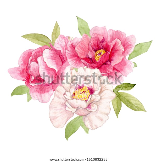 Watercolor Pink White Peony Bouquet Isolated Stock Illustration ...