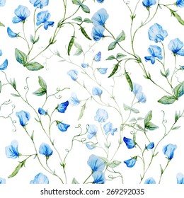Watercolor, plant, sweet peas, botany, flower, background, wallpaper, seamless, blue