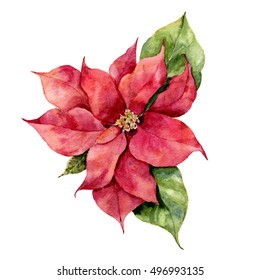 Disegno Stella Di Natale Fiore.Illustrazioni Immagini E Grafica Vettoriale Stock A Tema Stella Di Natale Fiore Shutterstock