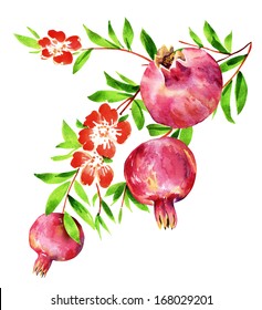 Watercolor Pomegranate 