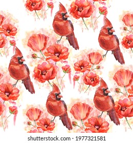 Watercolor poppies and Cardinal birds, hand drawn illustration, red wildflowers and red birds isolated on white background. Watercolor seamless pattern