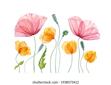 Watercolor Poppy composition. Summer field flowers with green leaves. Floral artwork with big red and small yellow flowers. Realistic botanical illustration for Easter design