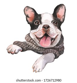 Watercolor portrait french bulldog  white bulldog and black spots  puppy  dog  pet  pet portrait  friend  beloved dog  postcard  dog breeder