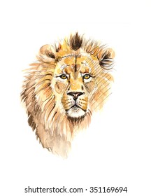 Watercolor Portrait Of Lion 