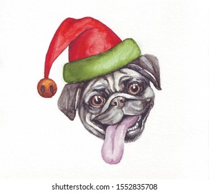 
Watercolor Portrait Of A Pug In An Elf Hat On A White Background
