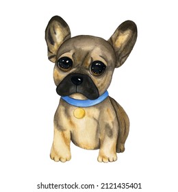 Watercolor portrait of a pug , french bulldog . Isolated on white background. Used for poster, prints, t shirts, books, postcards, cards etc