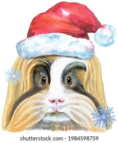 Watercolor portrait of Sheltie Guinea Pig in Santa hat on white background