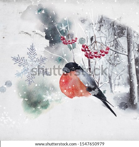 
watercolor portraits of ravens and birds, winter landscapes and winter landscapes; finished projects, invitation postcard