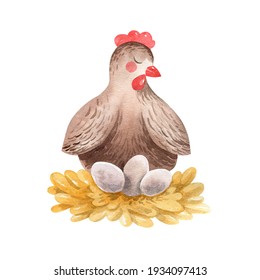 watercolor postcard cute hen hatches eggs