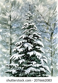Watercolor postcard, sketch spruce in winter, hand drawing