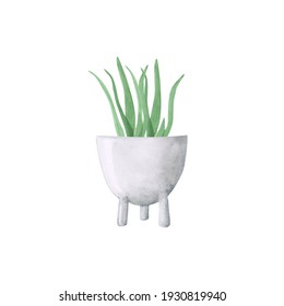 Watercolor potted aloe isolated on a white background. Hand-drawn succulent plant in a pot. Modern botanical illustration for your design. Greenery clipart. Home plant print. Cute flower. Home garden.