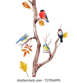 枝に葉鳥を描いた秋の木 鳥のチットとブルフィンチ 栗の葉 山灰 樺 のイラスト素材 Shutterstock