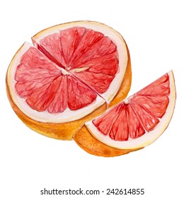 10,496 Watercolor grapefruit Images, Stock Photos & Vectors | Shutterstock