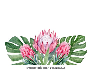 Watercolor proteas and palm leaves isolated on white background. Card template, Perfect for themed wedding or baby shower invitations, cards, stationery, postcards, posters - Powered by Shutterstock