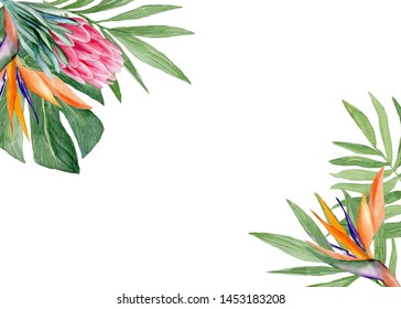 Watercolor proteas, strelitzia and palm leaves isolated on white background. Card template, Perfect for themed wedding or baby shower invitations, cards, stationery, postcards, posters - Powered by Shutterstock