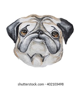 watercolor pug with teath