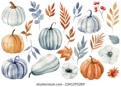 Watercolor pumpkin, flowers and tree leaves. Vintage Fall botanical clipart. Hand-painted illustration set. - Powered by Shutterstock