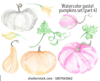 Watercolor Pumpkins Pastel, Autumn, Leaves And Flowers. Harvest Illustration. Helloween.Fall Illustration. Fall Baby Shower Favors