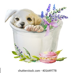 Watercolor Puppy With Flowers