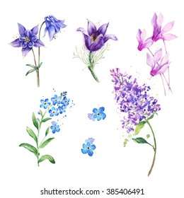 Watercolor Purple Flowers Isolated. Hand Drawn Violet Color Floral Set