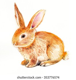 Watercolor Rabbit