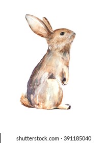 Watercolor Rabbit