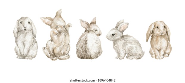 Watercolor rabbits, cute forest animals, fluffy easter bunny isolated on white. Farm pets