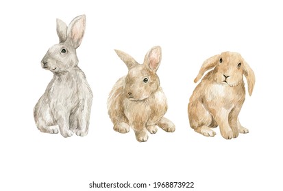 Watercolor Rabbits, Cute Forest Animals, Fluffy Easter Bunny Isolated On White. Farm Pets