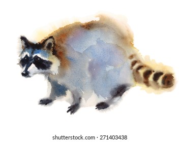 Watercolor Raccoon Animal Hand Drawn Illustration Isolated on white background