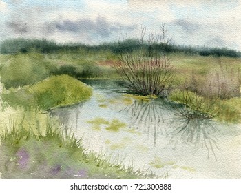 watercolor rainy landscape and swamp   bushes