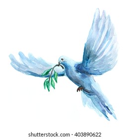 Watercolor raster illustration of peace dove holding olive branch. Illustration for print, web.