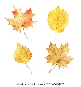 Watercolor Realistic Autumn Leaves Botanical Set