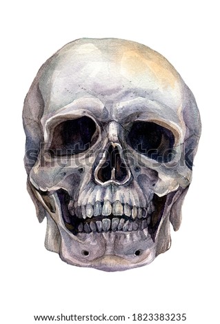 Watercolor Realistic Illustration of Human Skull Isolated on White Background. Spooky Halloween Decoration, Mexican Day of the Dead Symbol. Gothic Style Design. Smiling Skull Tattoo Design.