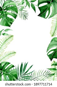 Watercolor Rectangular Frame, Green Tropical Leaves Border. Palm Leaves, Monstera, Jungle Plants. Isolated On White Background.