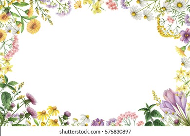 Watercolor Square Frame Medical Plants Healing Stock Illustration ...