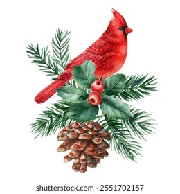 Watercolor red cardinal on branch holly leaves, vibrant berries, pinecones and greenery, festive Christmas illustration - Powered by Shutterstock