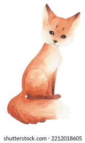 Watercolor Red Fox Sitting Isolated.