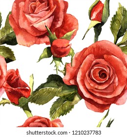 Watercolor Red Rose Flower Floral Botanical Stock Illustration ...